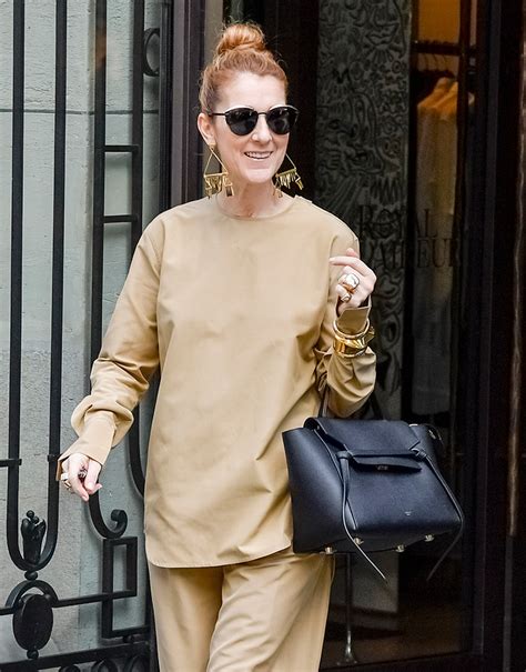 celine dion bags 2019|Celine belt bag buy online.